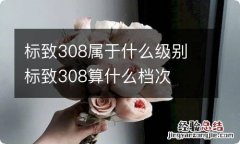 标致308属于什么级别 标致308算什么档次