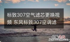 标致307空气滤芯更换视频 东风标致307空调滤芯更换视频