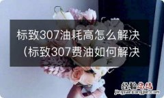 标致307费油如何解决 标致307油耗高怎么解决