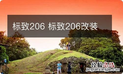 标致206 标致206改装