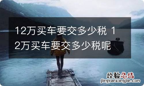 12万买车要交多少税 12万买车要交多少税呢