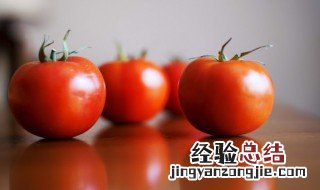 西红柿可以放冰箱吗 生的西红柿可以放冰箱吗