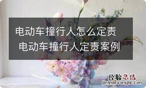 电动车撞行人怎么定责 电动车撞行人定责案例