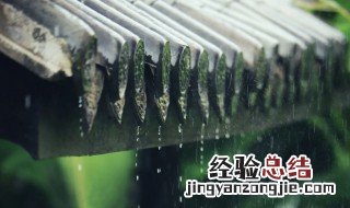 下雨天衣服发霉怎么预防 雨季如何防止衣物发霉