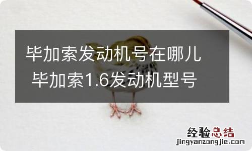 毕加索发动机号在哪儿 毕加索1.6发动机型号