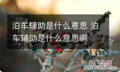 泊车辅助是什么意思 泊车辅助是什么意思啊