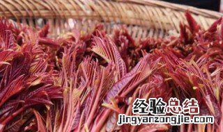 香椿怎样保存 香椿存放的妙招