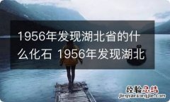 1956年发现湖北省的什么化石 1956年发现湖北省的什么化石是人类化石