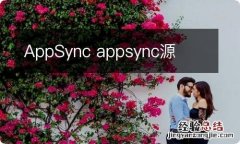 AppSync appsync源