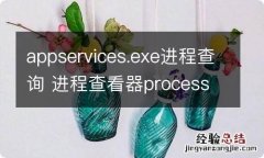 appservices.exe进程查询 进程查看器process explorer