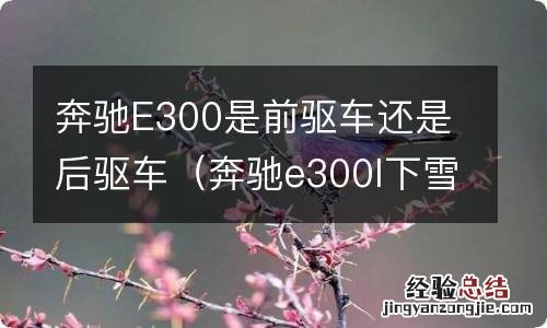 奔驰e300l下雪天怎么办 奔驰E300是前驱车还是后驱车