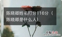 陈晓卿是什么人 陈晓卿姓名打分116分