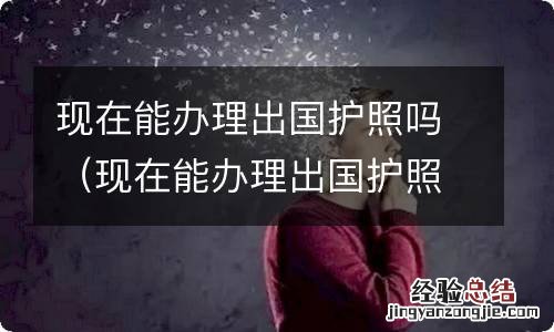现在能办理出国护照吗最新消息 现在能办理出国护照吗