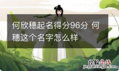 何欣穗起名得分96分 何穗这个名字怎么样