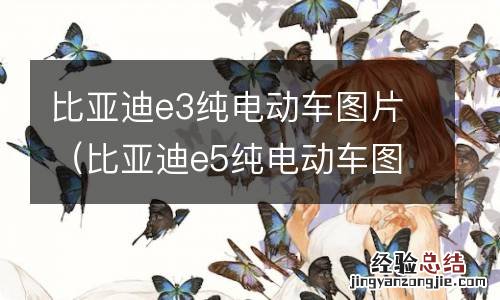 比亚迪e5纯电动车图片 比亚迪e3纯电动车图片