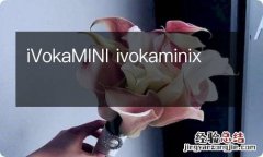 iVokaMINI ivokaminix