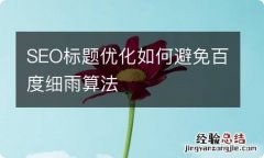 SEO标题优化如何避免百度细雨算法