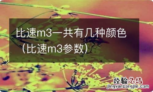 比速m3参数 比速m3一共有几种颜色