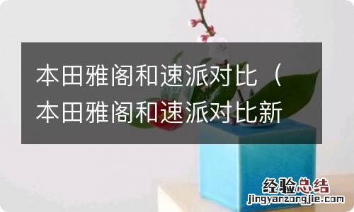 本田雅阁和速派对比新款 本田雅阁和速派对比