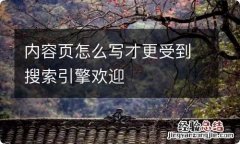 内容页怎么写才更受到搜索引擎欢迎