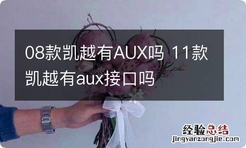 08款凯越有AUX吗 11款凯越有aux接口吗