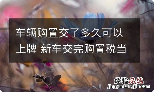 车辆购置交了多久可以上牌 新车交完购置税当天可以上牌吗