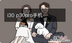 i30 p30pro手机