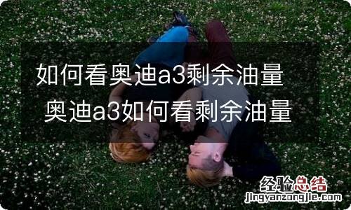 如何看奥迪a3剩余油量 奥迪a3如何看剩余油量行驶公里