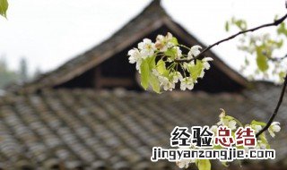 清明节开山什么意思 清明开墓山是什么意思