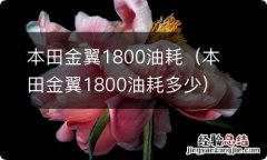 本田金翼1800油耗多少 本田金翼1800油耗