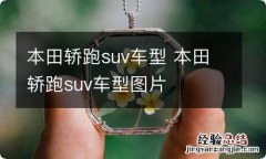 本田轿跑suv车型 本田轿跑suv车型图片