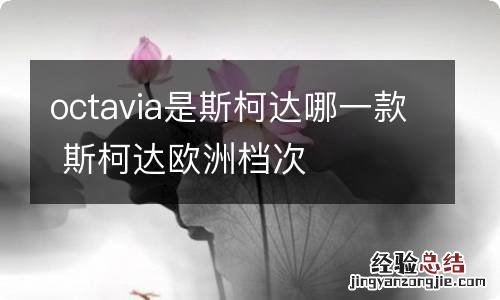 octavia是斯柯达哪一款 斯柯达欧洲档次