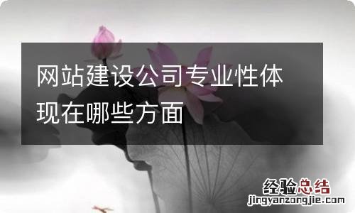 網站建設公司專業性體現在哪些方面
