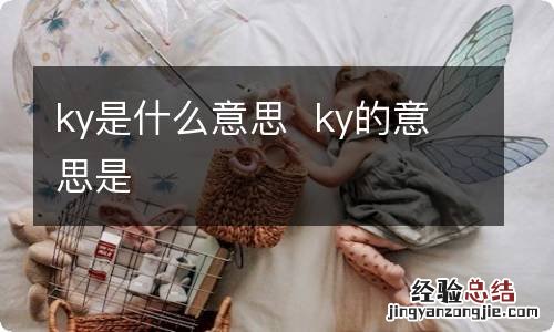 ky是什么意思ky的意思是