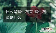 什么是碱性蔬菜 碱性蔬菜是什么