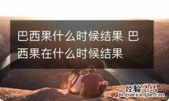 巴西果什么时候结果 巴西果在什么时候结果