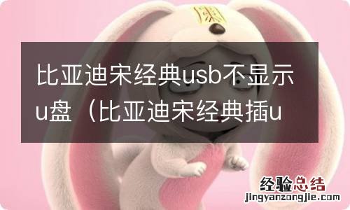 比亚迪宋经典插u盘没显示 比亚迪宋经典usb不显示u盘