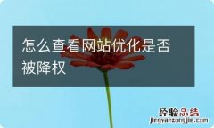 怎么查看网站优化是否被降权