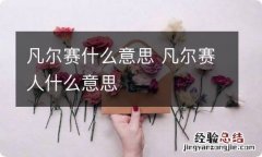 凡尔赛什么意思 凡尔赛人什么意思