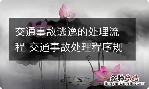 交通事故逃逸的处理流程 交通事故处理程序规定逃逸