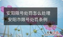 安阳限号处罚怎么处理 安阳市限号处罚条例