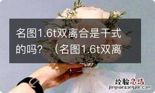 名图1.6t双离合质量怎么样 名图1.6t双离合是干式的吗？