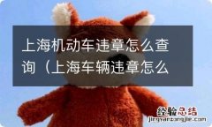 上海车辆违章怎么查询 上海机动车违章怎么查询