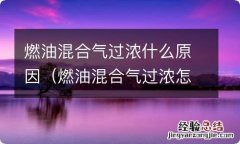 燃油混合气过浓怎么办 燃油混合气过浓什么原因