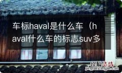 haval什么车的标志suv多少钱 车标haval是什么车