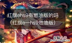 红旗e—hs9燃油版 红旗ehs9有燃油版的吗