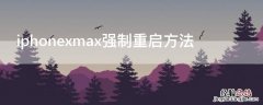 iPhonexmax强制重启方法