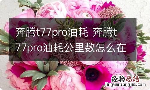 奔腾t77pro油耗 奔腾t77pro油耗公里数怎么在仪表盘上显示