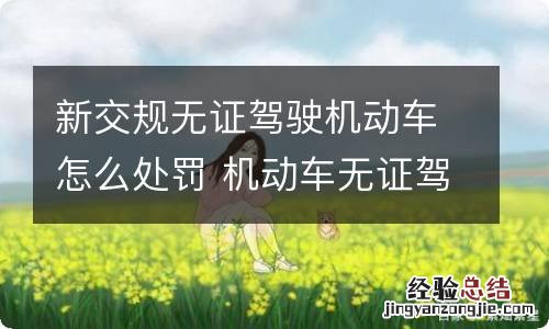 新交规无证驾驶机动车怎么处罚 机动车无证驾驶怎么处罚规定