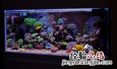 海鲜池 需要怎么处理 海鲜池如何保养清洗